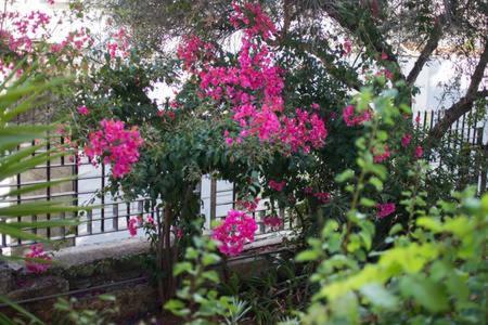 Glyfada Riviera Home Athènes Extérieur photo